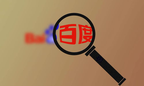 免费领取蜘蛛池